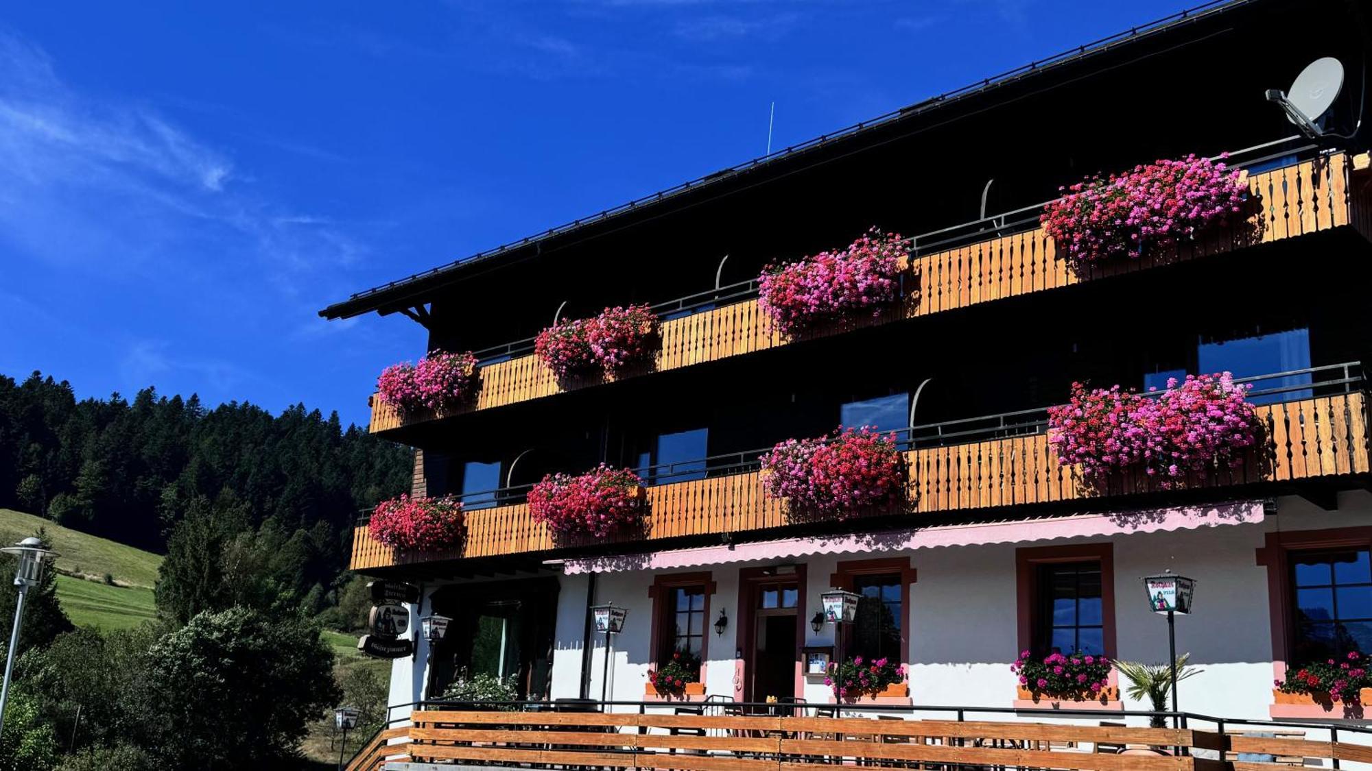 Boutique Hotel And Apartments Pension Sternen Todtmoos Zewnętrze zdjęcie