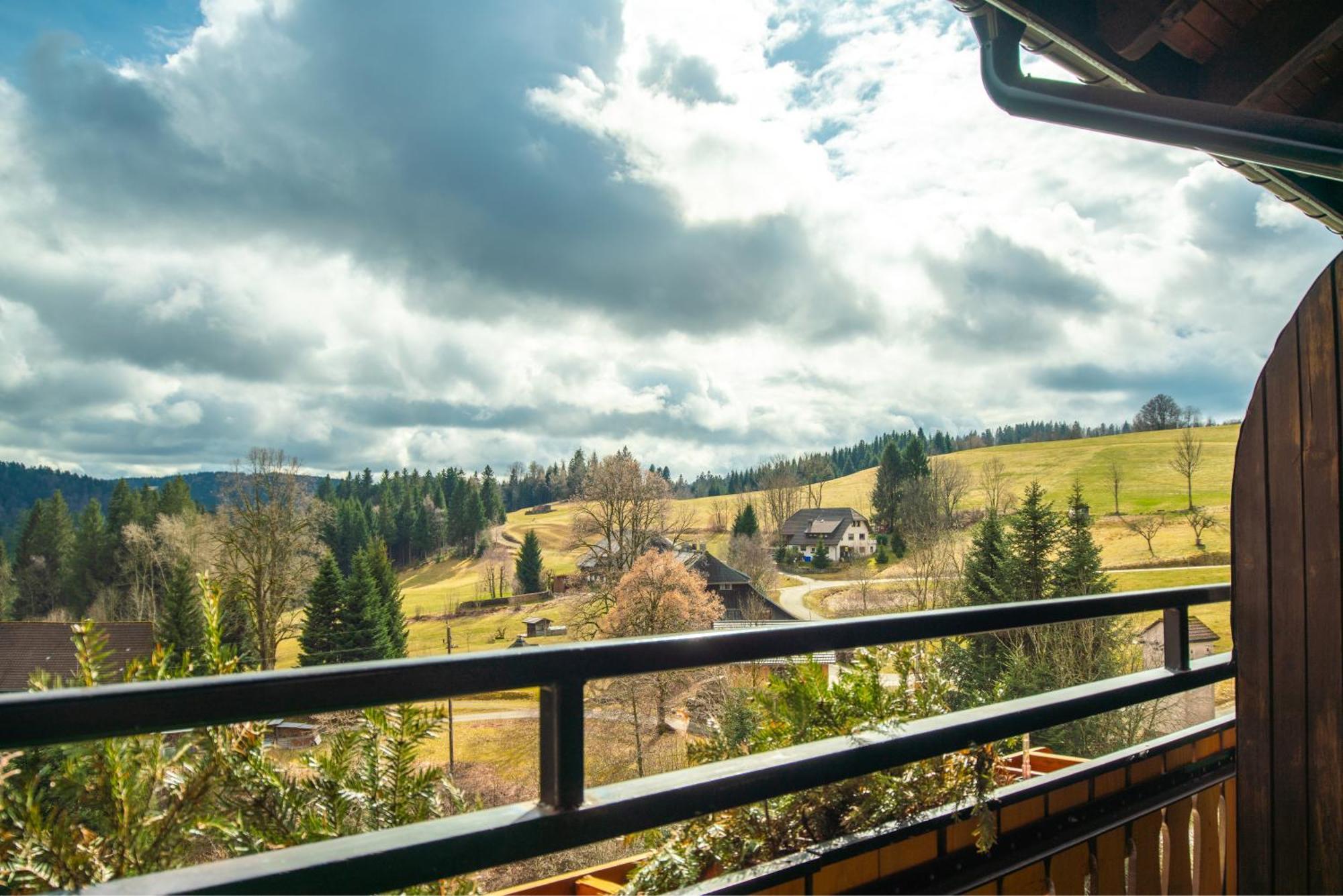 Boutique Hotel And Apartments Pension Sternen Todtmoos Zewnętrze zdjęcie